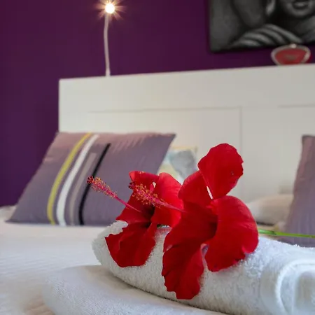 The Colors House, 513 And Cosy Appartement Costa Teguise