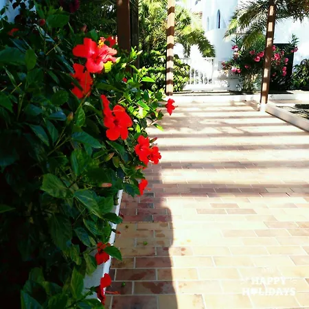 The Colors House, 513 And Cosy * Costa Teguise